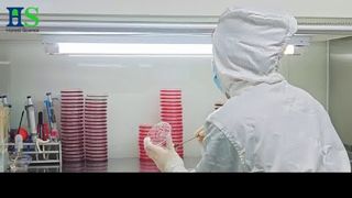 Серия мембран из яичной скорлупы ELASEM®: сырье для здоровья и красоты суставов